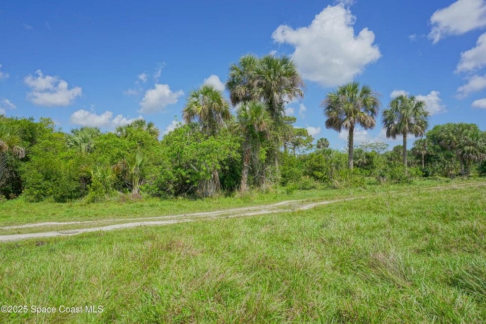 0 W Florida Avenue, Melbourne, FL 32904 photo 5