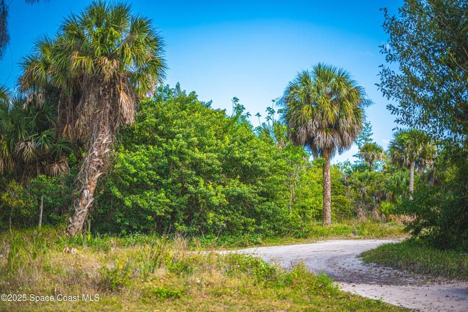 2437 Yount Drive, Merritt Island, FL 32952 photo 4