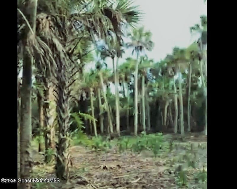 O00 E Unknown, Merritt Island, FL 32953 photo 4