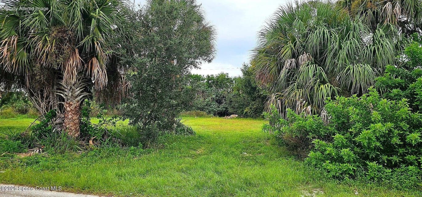 3318 Pelham Street, Melbourne, FL 32901 photo 6